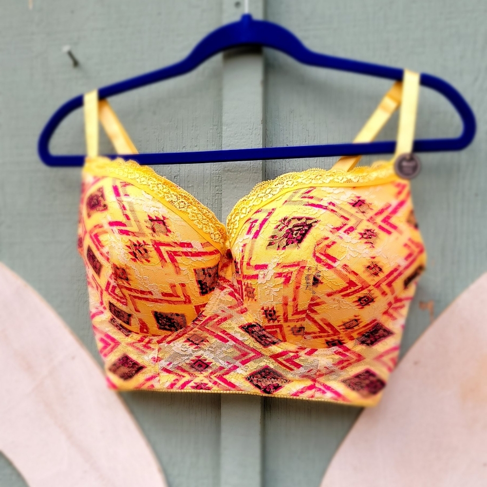 NWT Body Frosting Bra size 40D